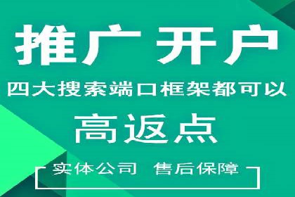 搜索引擎广告（SEM）在本地化推广中的运用案例
